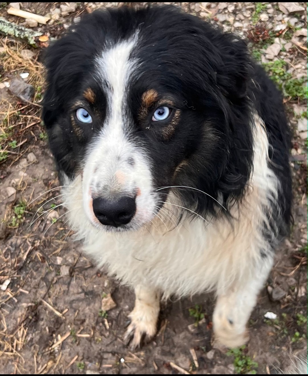 My first picture of Benny